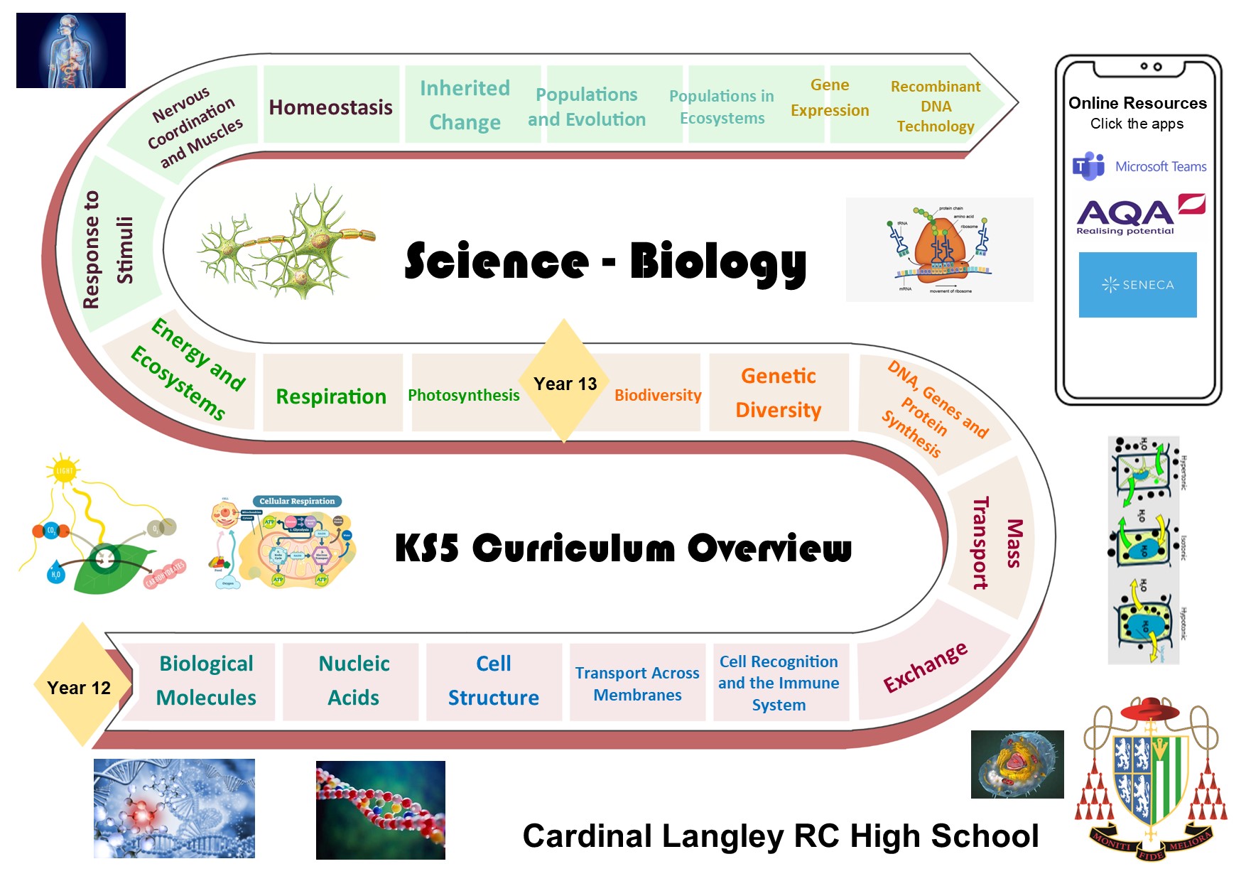 Science Cardinal Langley RC High School
